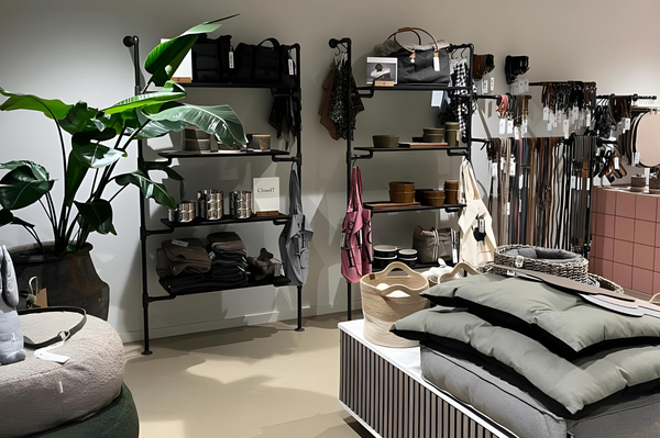 Doggy Love: Où l'Affection Canine Rencontre une Décoration Élégante