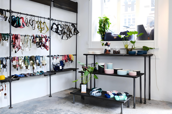 Hunni - Magasin d'accessoires pour chiens