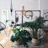 portemanteau en tuyaux séparateur de pièce pour accrocher des plantes dans une chambre à coucher 