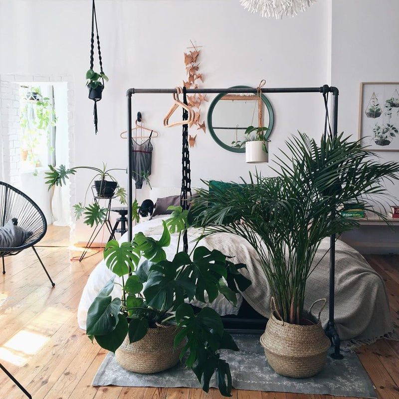 portemanteau en tuyaux séparateur de pièce pour accrocher des plantes dans une chambre à coucher 